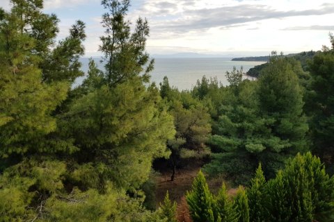 24 rooms Villa in Chalkidiki, Greece No. 60690 4