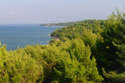 24 rooms Villa in Chalkidiki, Greece No. 60690 7