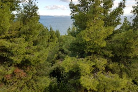 24 rooms Villa in Chalkidiki, Greece No. 60690 2