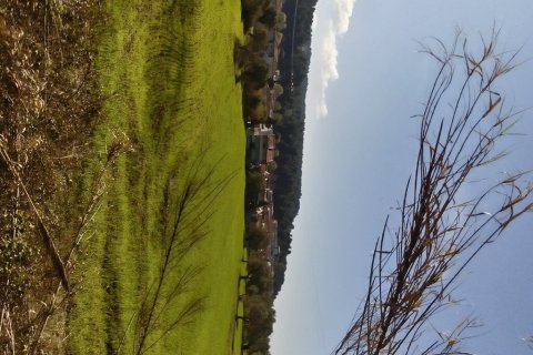 Земельный участок 18480м² в Халкидики, Греция №58214 4