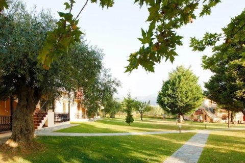 20 rooms Hotel à Thasos, Greece No. 107430 18