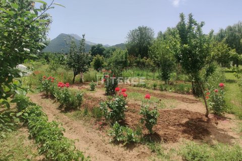 6 chambres Villa à Hoang An, Vietnam No. 88589 10