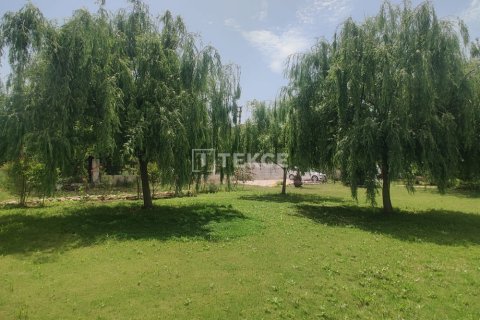 6 chambres Villa à Hoang An, Vietnam No. 88589 14