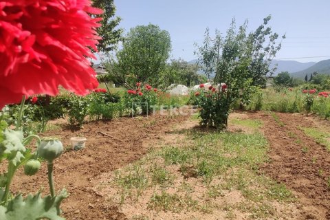 6 chambres Villa à Hoang An, Vietnam No. 88589 15