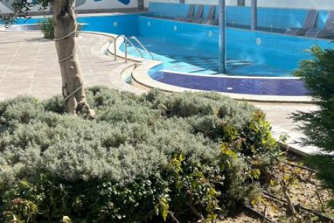 3 rooms Apartment in Bo Ha, Vietnam No. 21690 6