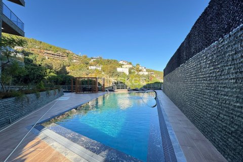 2 bedrooms Apartment in Chau Lang, Vietnam No. 80573 11