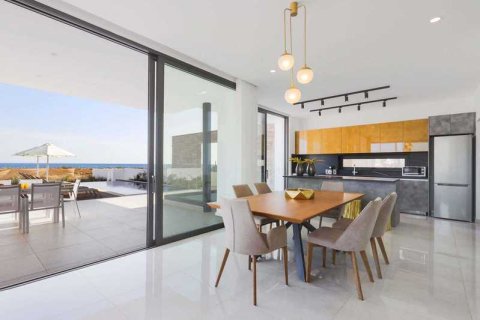 5 bedrooms Villa in Ayia Napa, Cyprus No. 32069 2