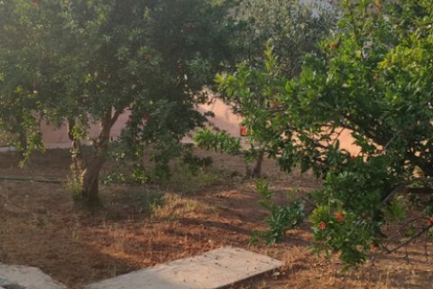 1 dormitorio House en Lavrio, Greece No. 122013 2