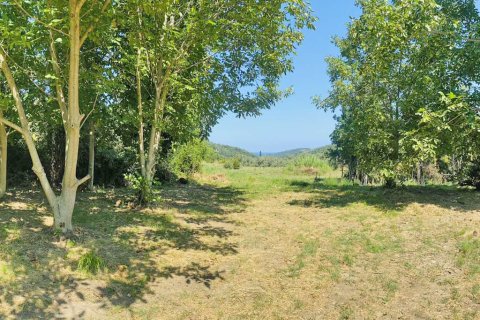 2 bedrooms House in Argalasti, Greece No. 108408 10