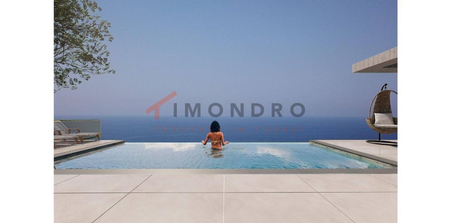 3 chambres Villa à Dinh Trung, Vietnam No. 17406