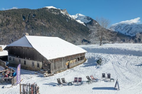 425m² House à Morzine, France No. 100127 4