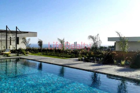 6 chambres House à Germasogeia, Cyprus No. 101024 8