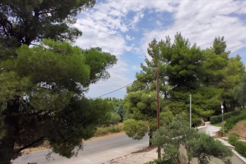 3 bedrooms Maisonette in Chalkidiki, Greece No. 56669 2