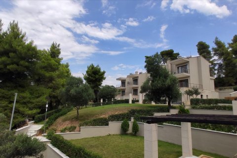 3 bedrooms Maisonette in Chalkidiki, Greece No. 56669 1