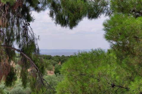 3 bedrooms Maisonette in Chalkidiki, Greece No. 56669 22