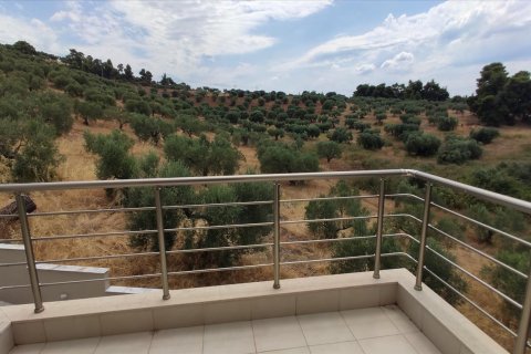 3 bedrooms Maisonette in Chalkidiki, Greece No. 56669 23