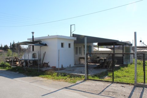 5 bedrooms House in Katerini, Greece No. 108175 16