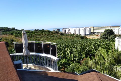 3 bedrooms Villa in Lien Chieu, Vietnam No. 14211 13