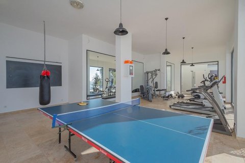 7 rooms Villa à Chau Lang, Vietnam No. 21521 8