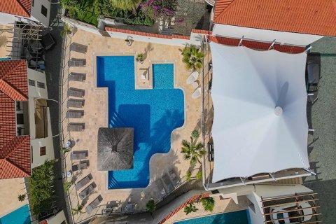 7 rooms Villa à Chau Lang, Vietnam No. 21521 13