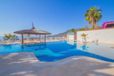 7 rooms Villa à Chau Lang, Vietnam No. 21521 3