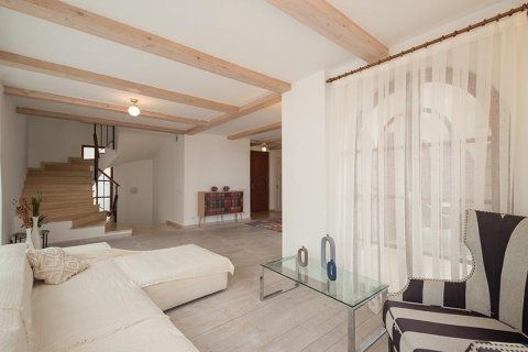 7 rooms Villa à Chau Lang, Vietnam No. 21521 30