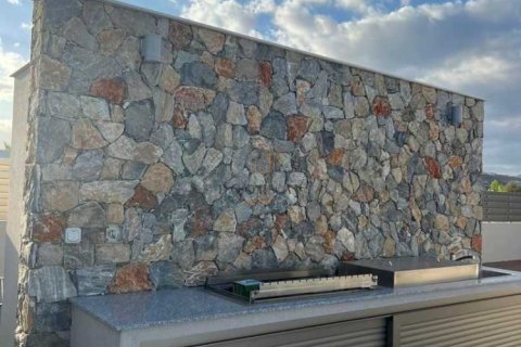 3 bedrooms House in Moni, Cyprus No. 101311 11