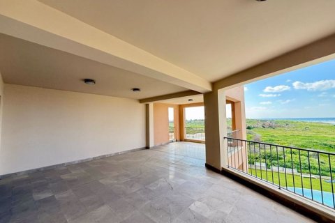 3 bedrooms Apartment in Paphos, Cyprus No. 81512 11