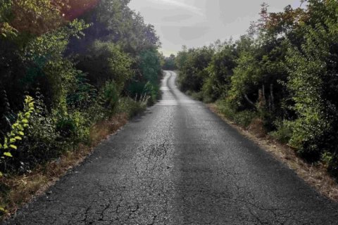 8106m² Land in Danilovgrad, Montenegro No. 71301 3