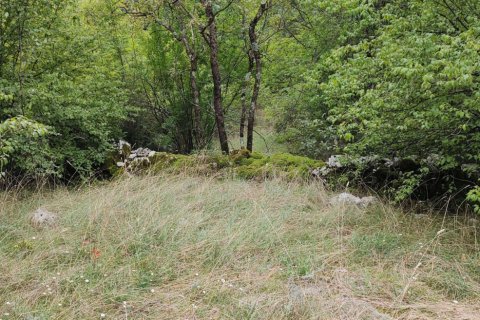 8106m² Land in Danilovgrad, Montenegro No. 71301 7