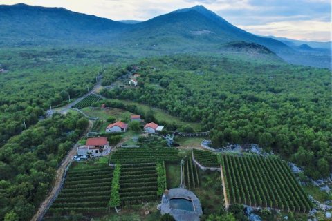 8106m² Land in Danilovgrad, Montenegro No. 71301 5