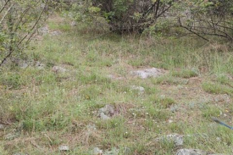 8106m² Land in Danilovgrad, Montenegro No. 71301 6