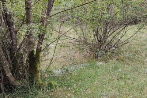 8106m² Land in Danilovgrad, Montenegro No. 71301 8