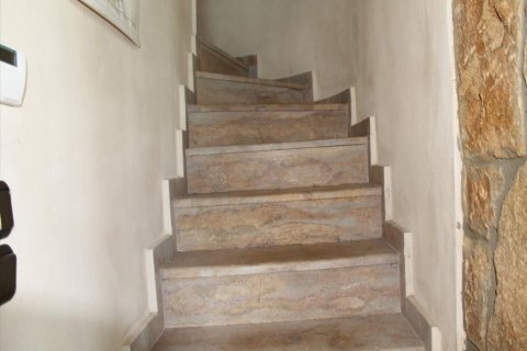 430m² Villa in Chalkidiki, Greece No. 109716 16