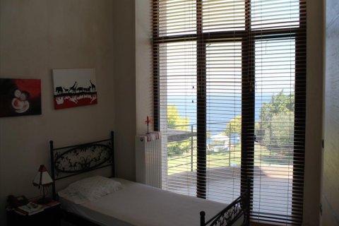 430m² Villa in Chalkidiki, Greece No. 109716 2