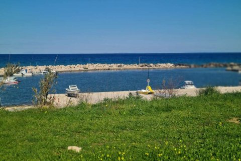 Land in Zakynthos, Greece No. 79985 11