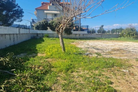 Land in Zakynthos, Greece No. 79985 26