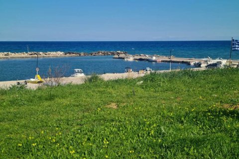 Land in Zakynthos, Greece No. 79985 17