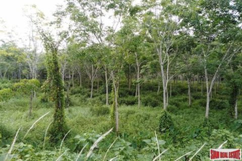 27200m² Land in Phang Nga, Thailand No. 95992 2
