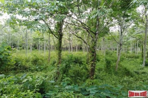 27200m² Land in Phang Nga, Thailand No. 95992 4