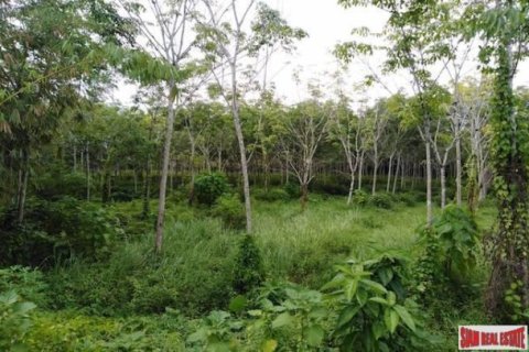 27200m² Land in Phang Nga, Thailand No. 95992 1