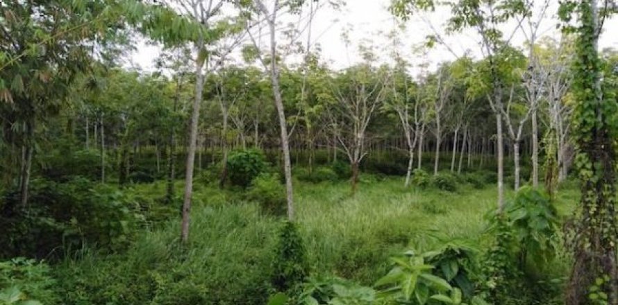 27200m² Land in Phang Nga, Thailand No. 95992