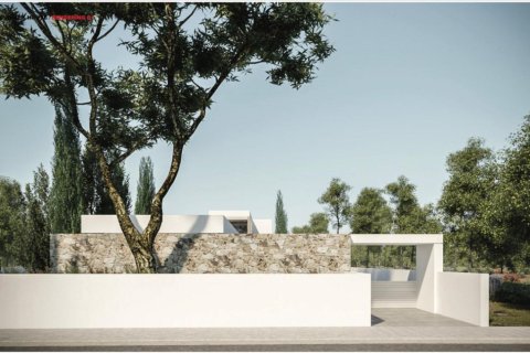 5 chambres Villa à Paphos, Cyprus No. 106070 4