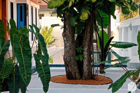 3 dormitorios House en Chiang Mai, Thailand No. 97891 8