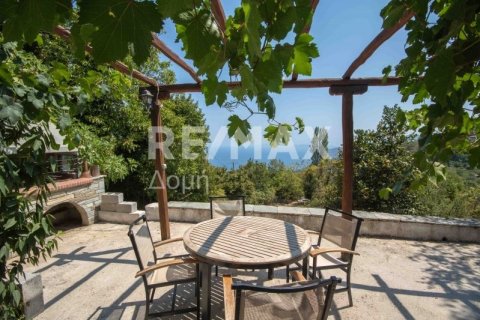 5 bedrooms House in Mouresi, Greece No. 64924 4