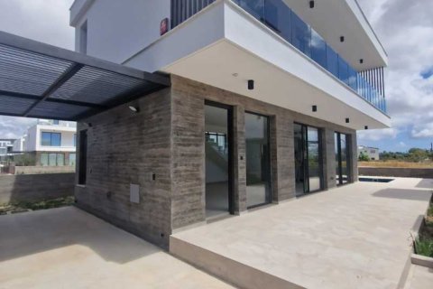 3 bedrooms Villa in Geroskípou, Cyprus No. 101234 2