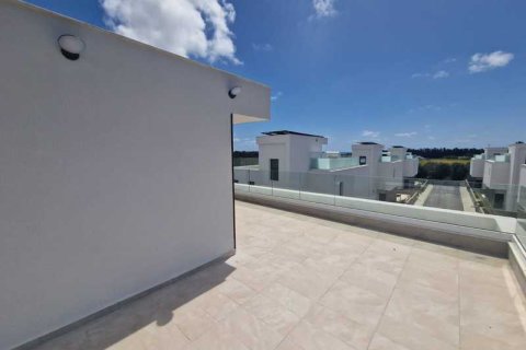 3 bedrooms Villa in Geroskípou, Cyprus No. 101234 13