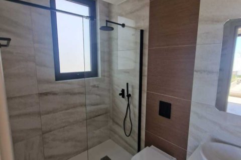 3 bedrooms Villa in Geroskípou, Cyprus No. 101234 12