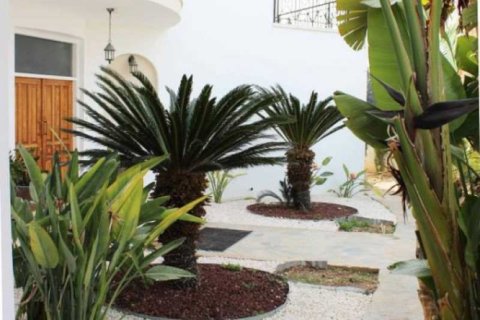 5 dormitorios Villa en Paphos, Cyprus No. 84396 16