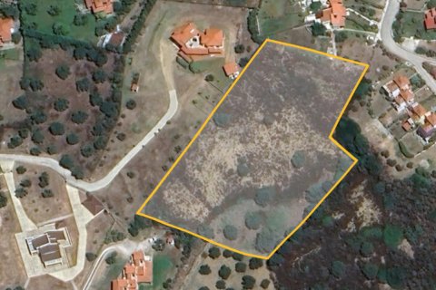 7216m² Land in Chalkidiki, Greece No. 109121 2